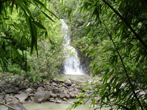 060522 Maui Waterfall 1