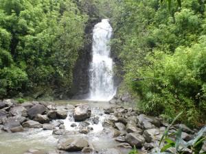 060522 Maui Waterfall 2