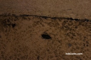 120428 Crowne Plaza Cincinnati North Coco Key Garbage Dead Bug