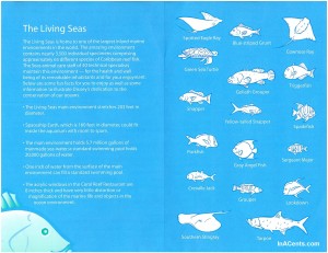 Coral Reef Restaurant Fish Guide Inside