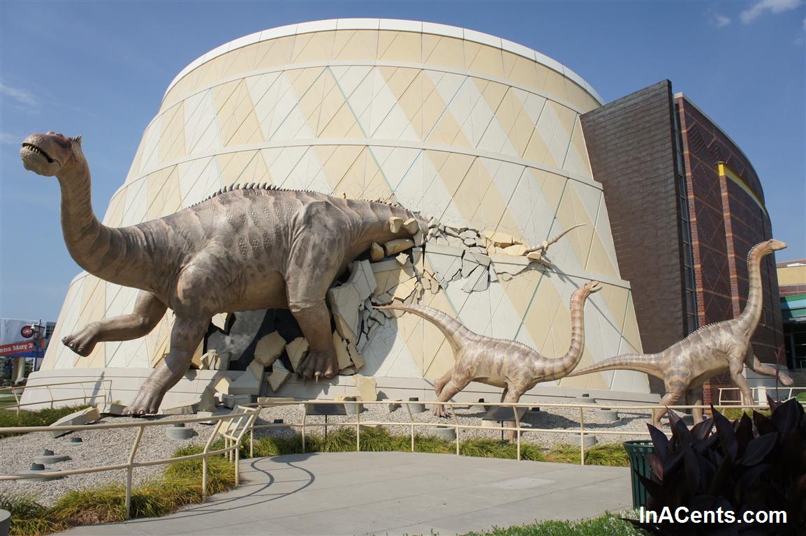 the museum of dinosaurs