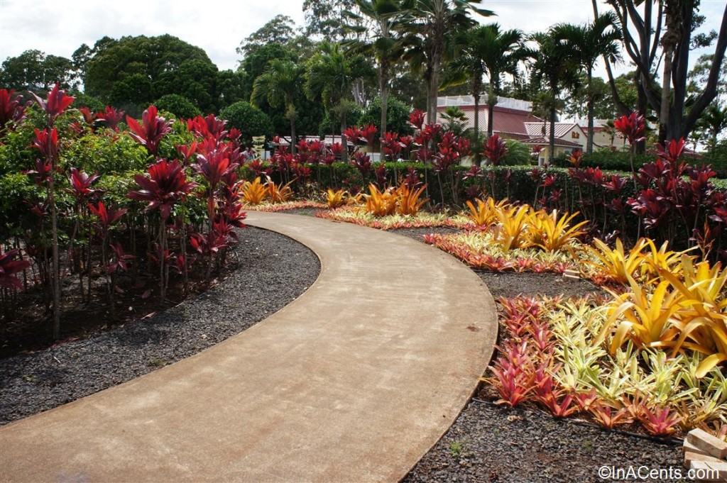 06-120615 Oahu Dole Plantation Gardens