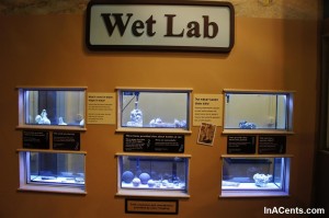 07-120707 Indianapolis Children's Museum Wet Lab