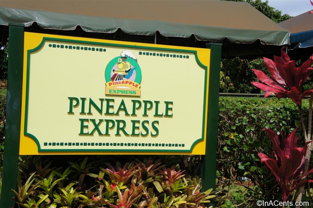 12-120615 Dole Plantation Pineapple Express Sign