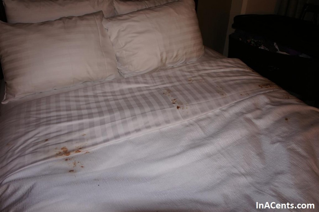 120612 Holiday Inn Beachcomber Chocolate Bed 1
