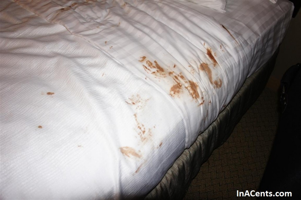 120612 Holiday Inn Beachcomber Chocolate Bed 3