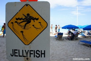 120613 Waikiki Beach 4 Jelly Fish Sign