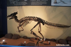 14-120707 Indianapolis Children's Museum Dinosaur Skeleton