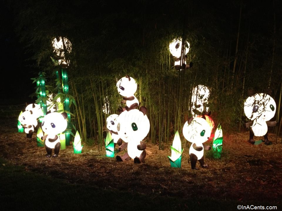 Paper Pandas A Review Of The Lantern Festival At The Missouri