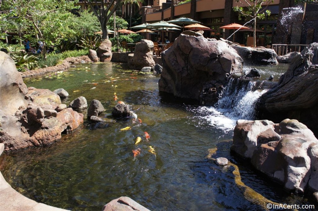 120625 Disney's Aulani Koi Pond 3