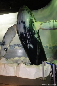 120916 Newport Aquarium Whale in Lobby