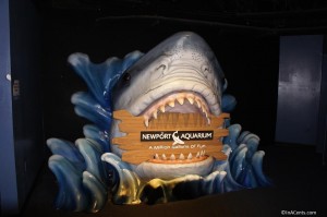 120916 Newport Aquarium Shark Sign
