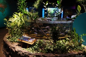 120916 Newport Aquarium 05