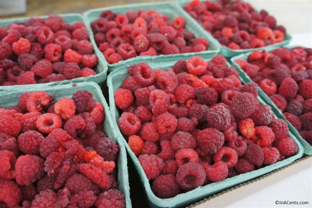 120811 Rosby Raspberry Picking Berries 2