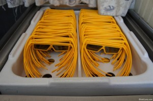 120611 Disney's California Adventure Toy Story Mania 3D Glasses (10)