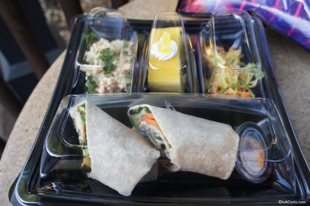 120611 Disney's California Adventure Picnic Lunch (4)