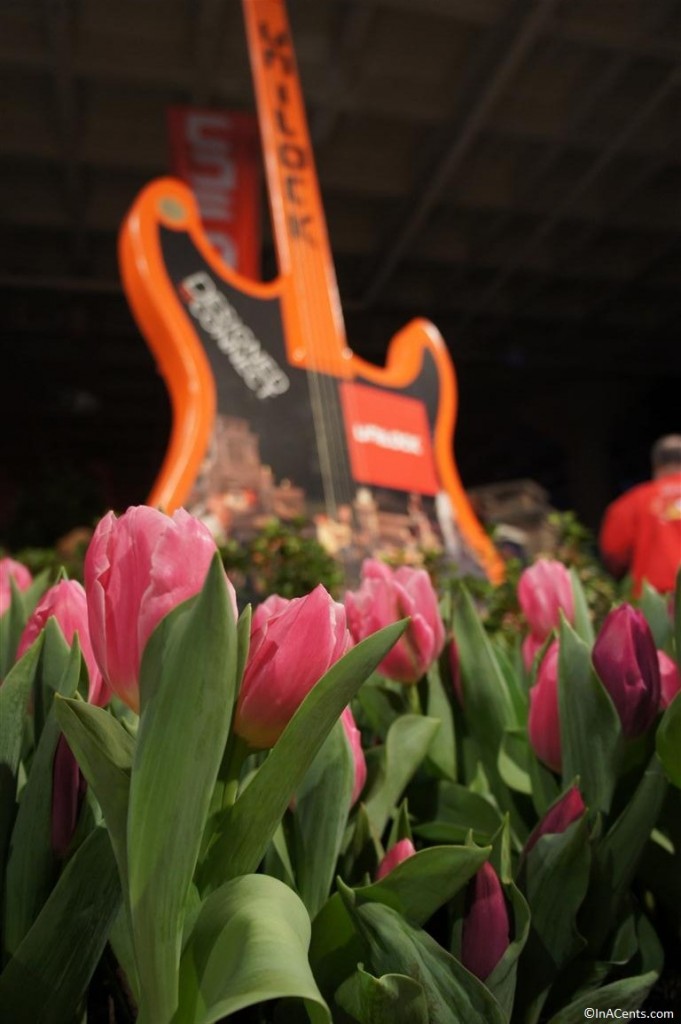 130202 Cleveland Home and Garden Show (2) Tulips