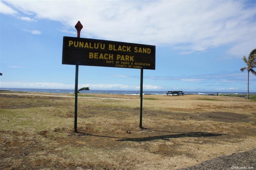 120619 Punalu'u Black Sand Beach Park (2)