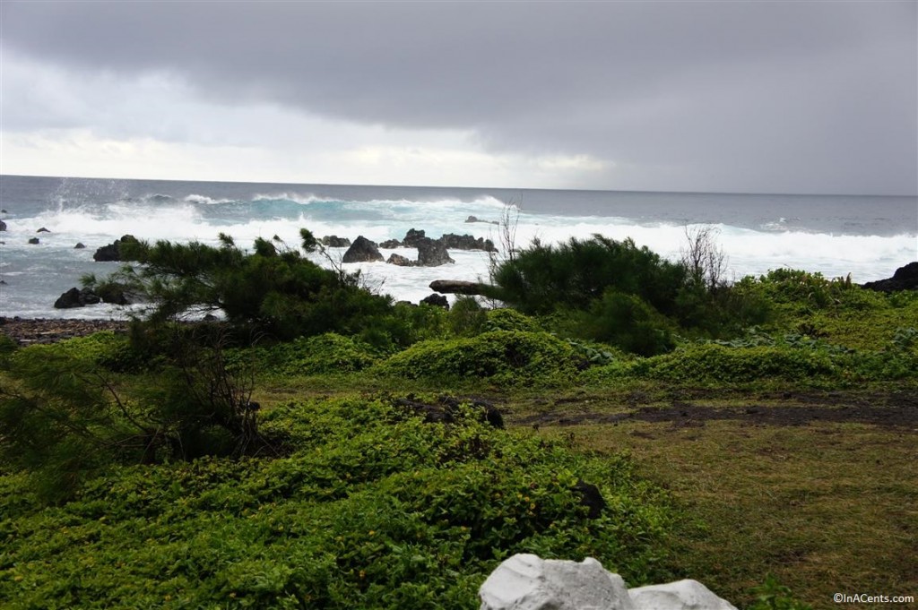 120622 Laupahoehoe Harbor, Big Island, Hawaii (10)