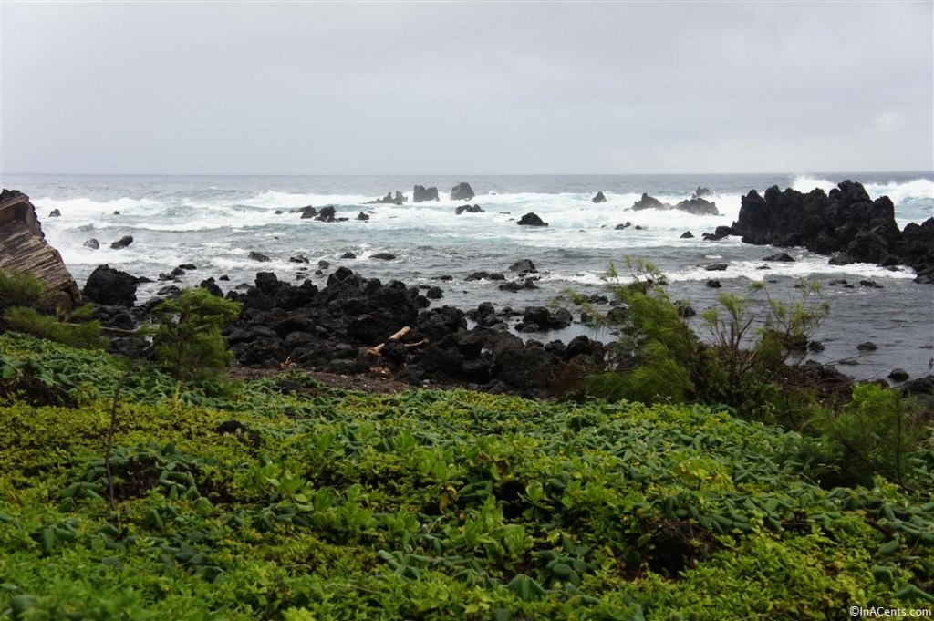 120622 Laupahoehoe Harbor, Big Island, Hawaii (8)