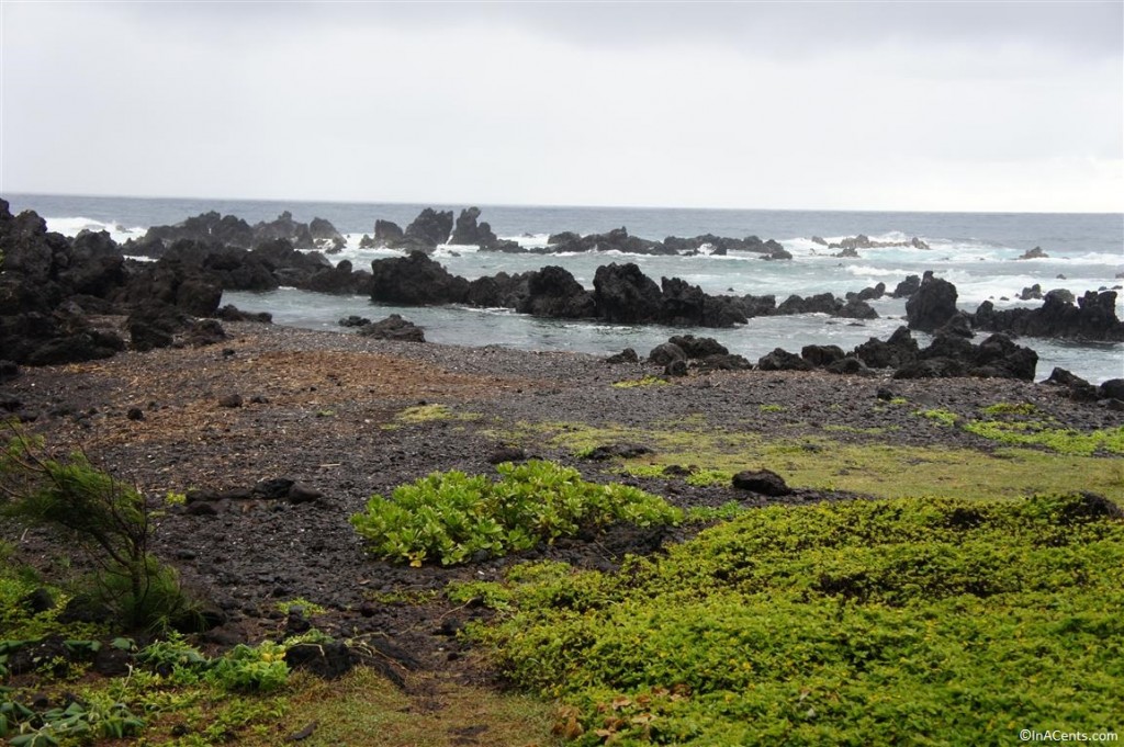 120622 Laupahoehoe Harbor, Big Island, Hawaii (9)