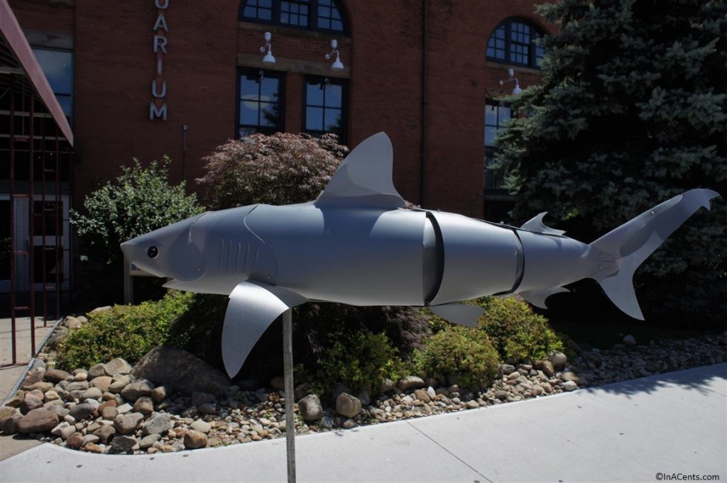 130804 Greater Cleveland Aquarium (1)