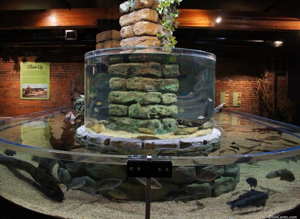 130804 Greater Cleveland Aquarium (4)