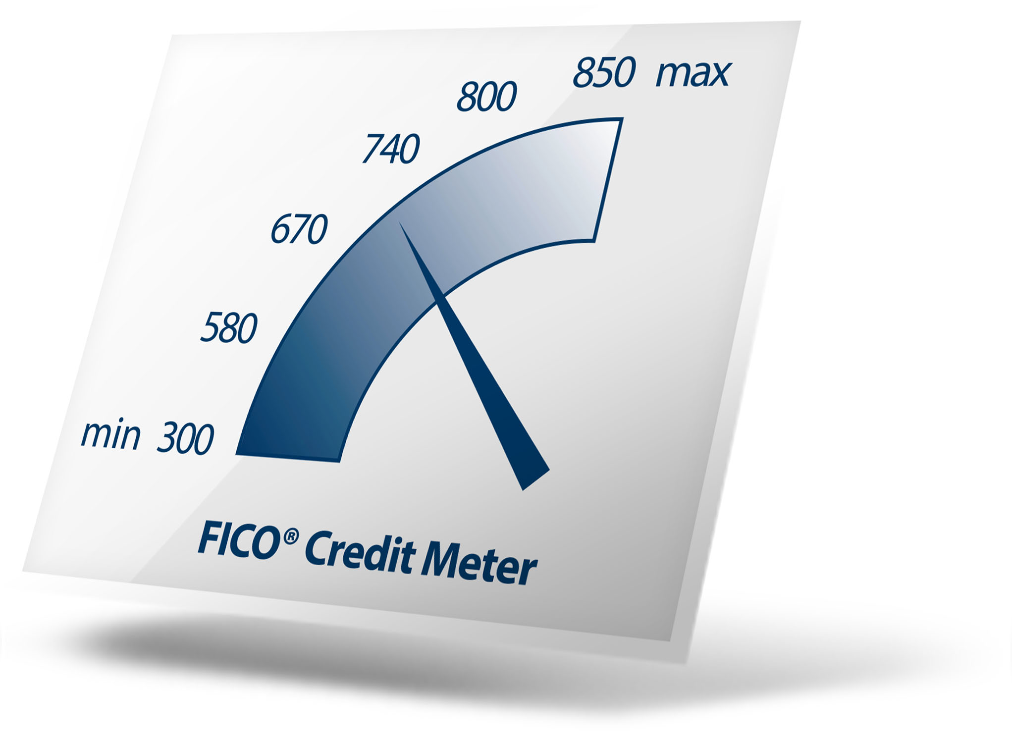 FICO Meter - Skewed