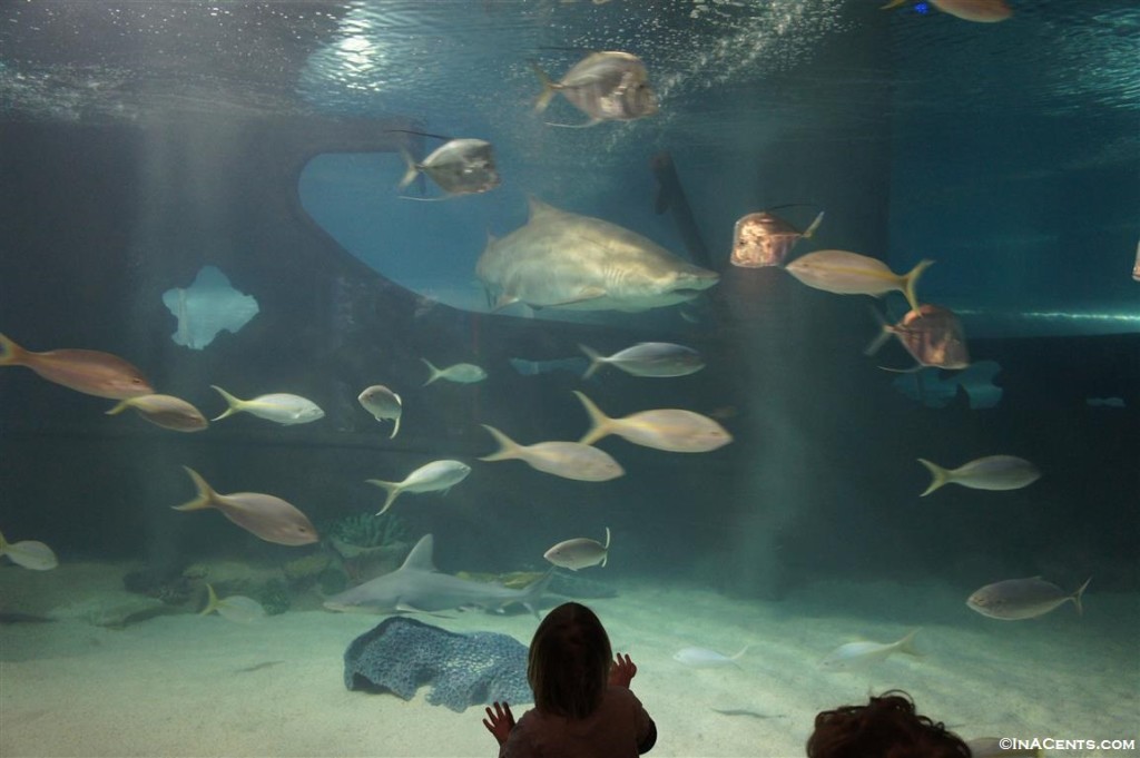 140324 Greater Cleveland Aquarium