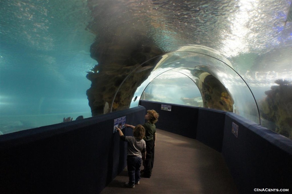 140324 Greater Cleveland Aquarium