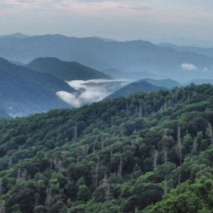 Great Smokey Mountains