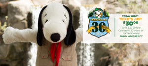 Knott's Snoopy 30 Years Sale