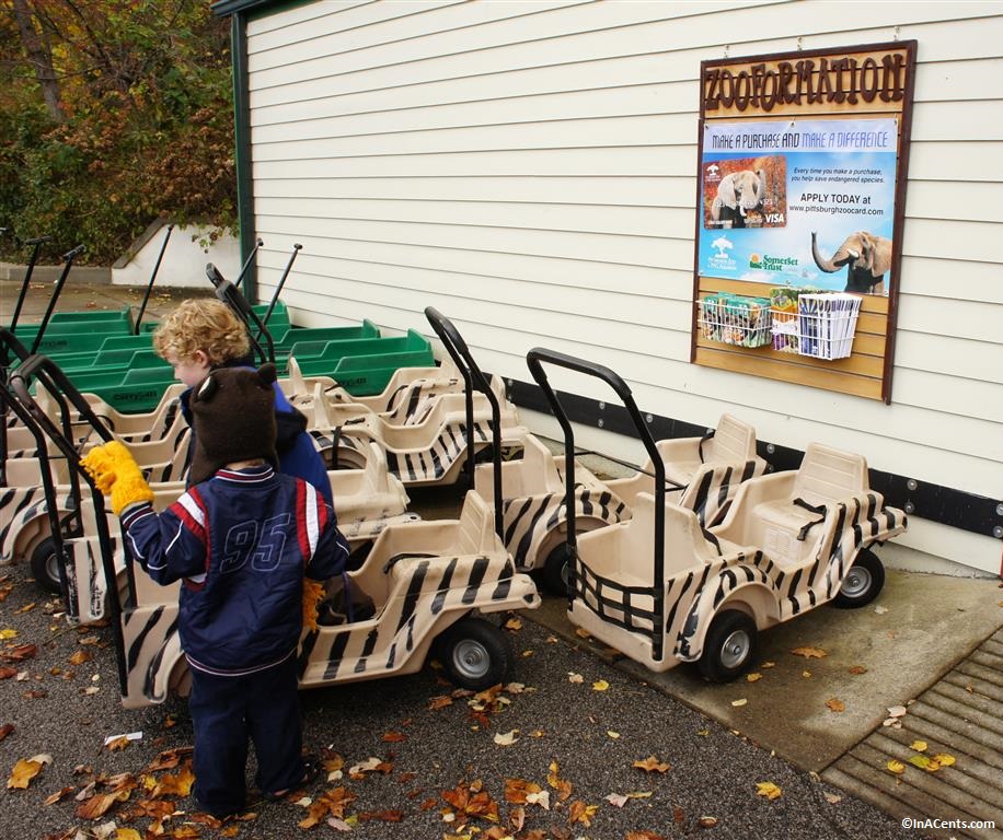 Zoo store wagon rental