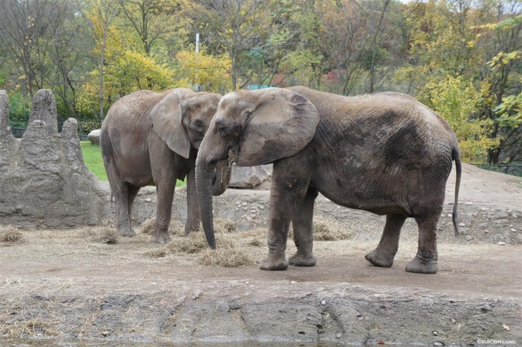 141018 Pittsburgh Zoo Boo