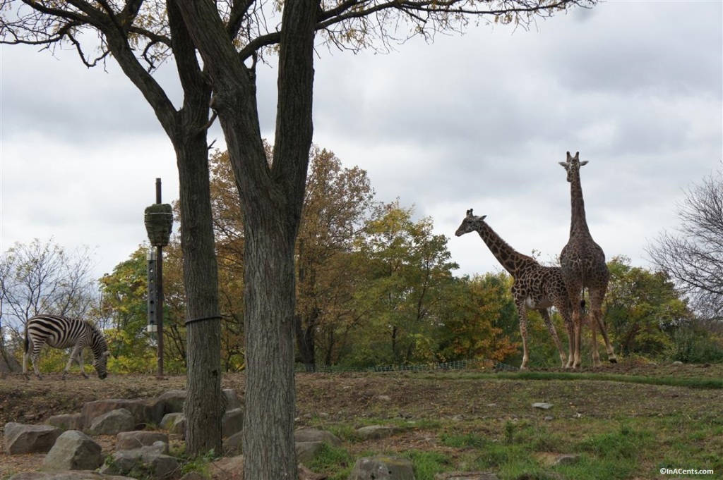 141018 Pittsburgh Zoo Boo