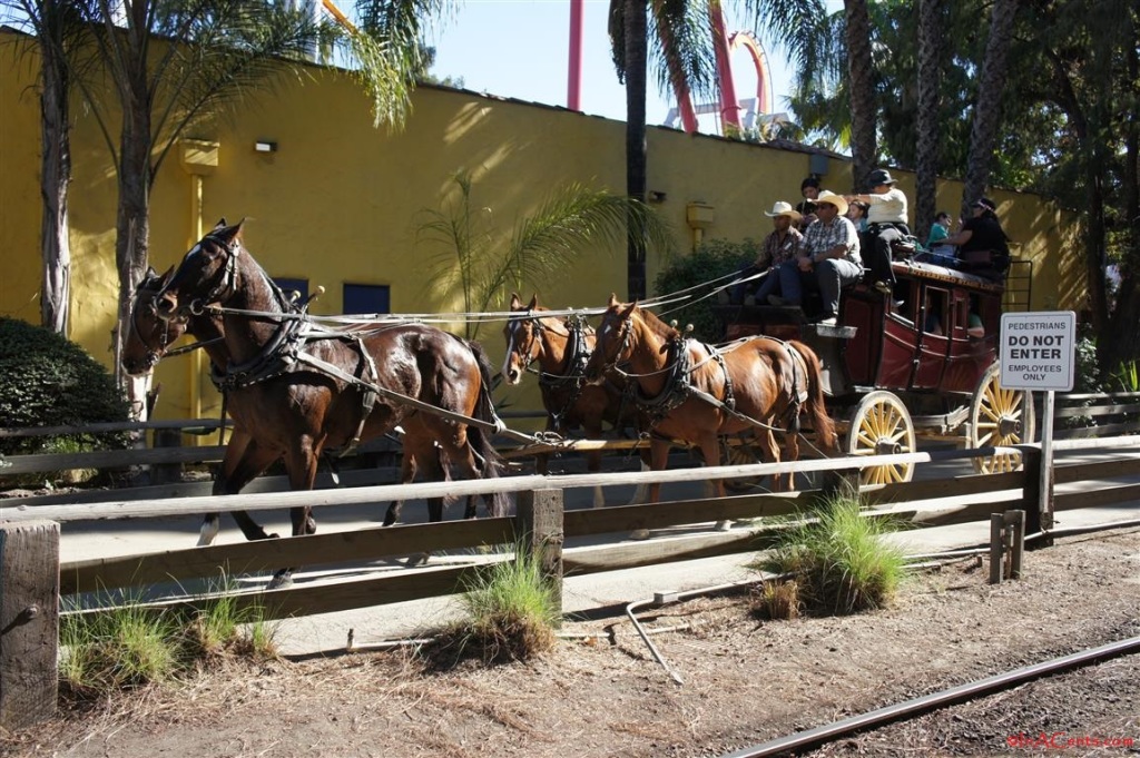 141125 Knott's Merry Farm (3)