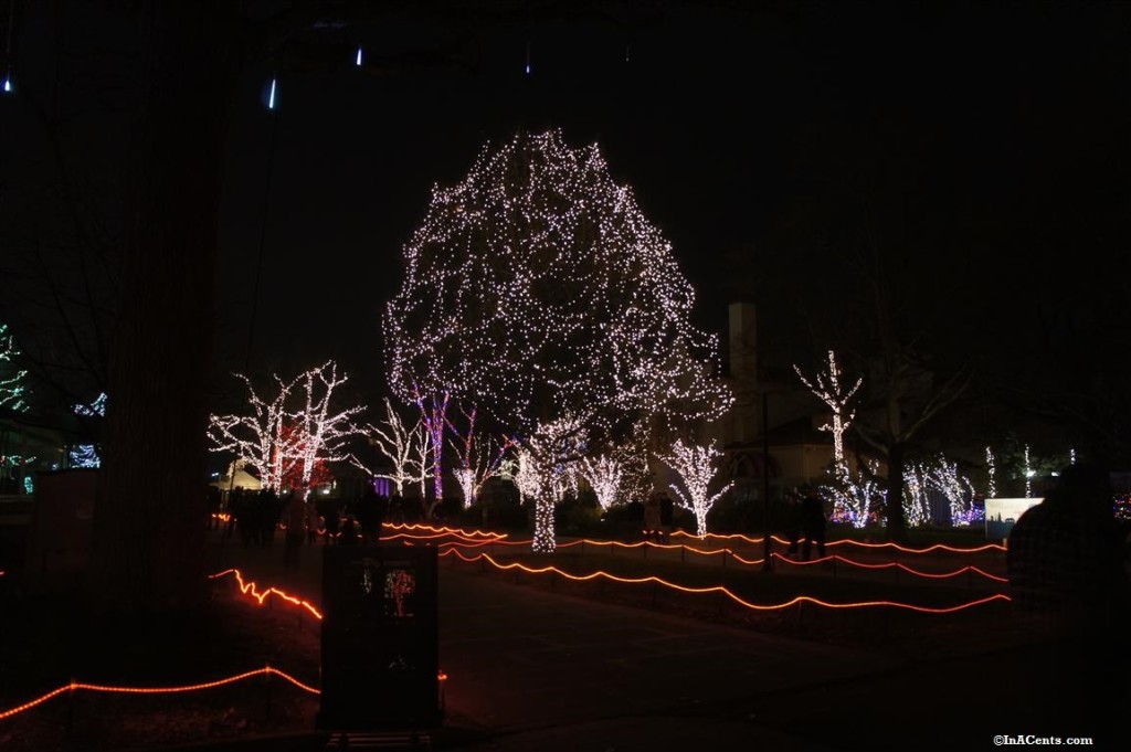 Toledo Zoo Lights Revisited