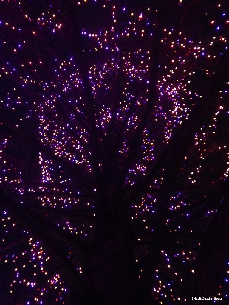 141220 Toledo Zoo Lights