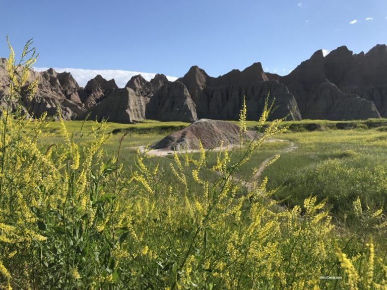 190625 Badlands National Park (1)