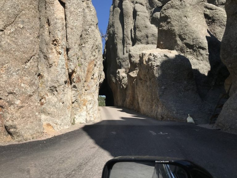 190626 Needles Highway Needles Eye Tunnel