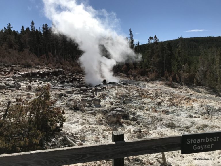 190628 Yellowstone Steamboat Geyser