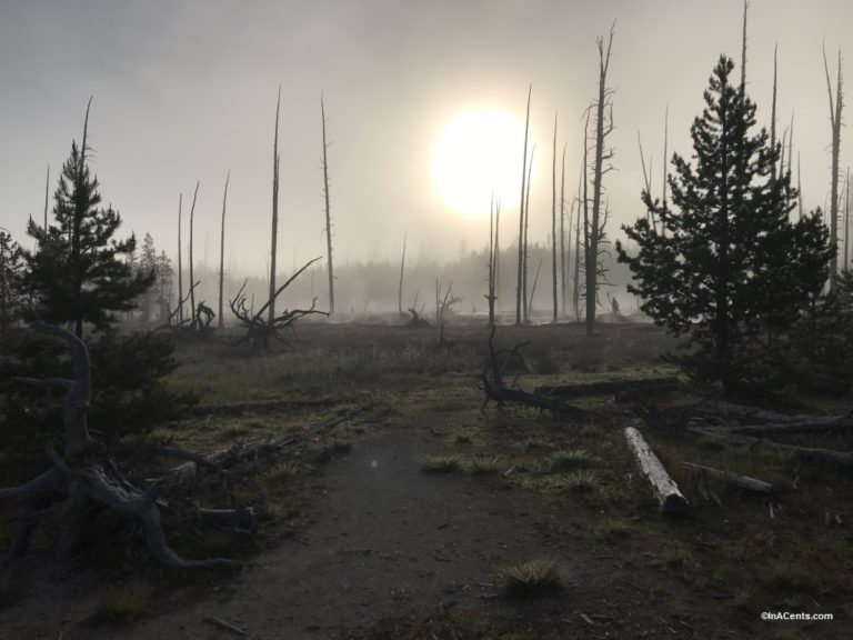 190629 Yellowstone Artist PaintPots Morning Fog