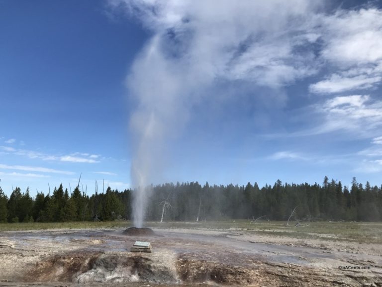 190629 Yellowstone Pink Cone Geyser