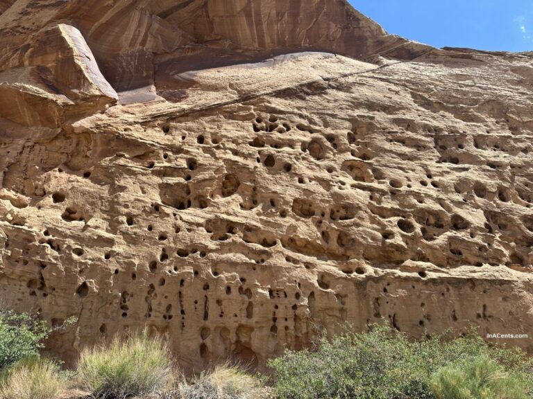 Epic Road Trip: Capitol Reef National Park (Part 8)