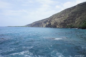 120618 Kealakekua Bay (Big Island, HI) (8)