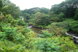 120621 Big Island, Hawaii Wailuku River Boiling Pots State Park 1