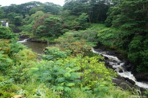 120621 Big Island, Hawaii Wailuku River Boiling Pots State Park 2