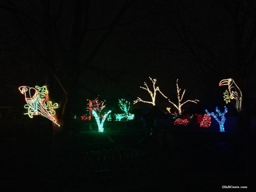 Toledo Zoo Lights Revisited