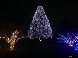 141220 Toledo Zoo Lights